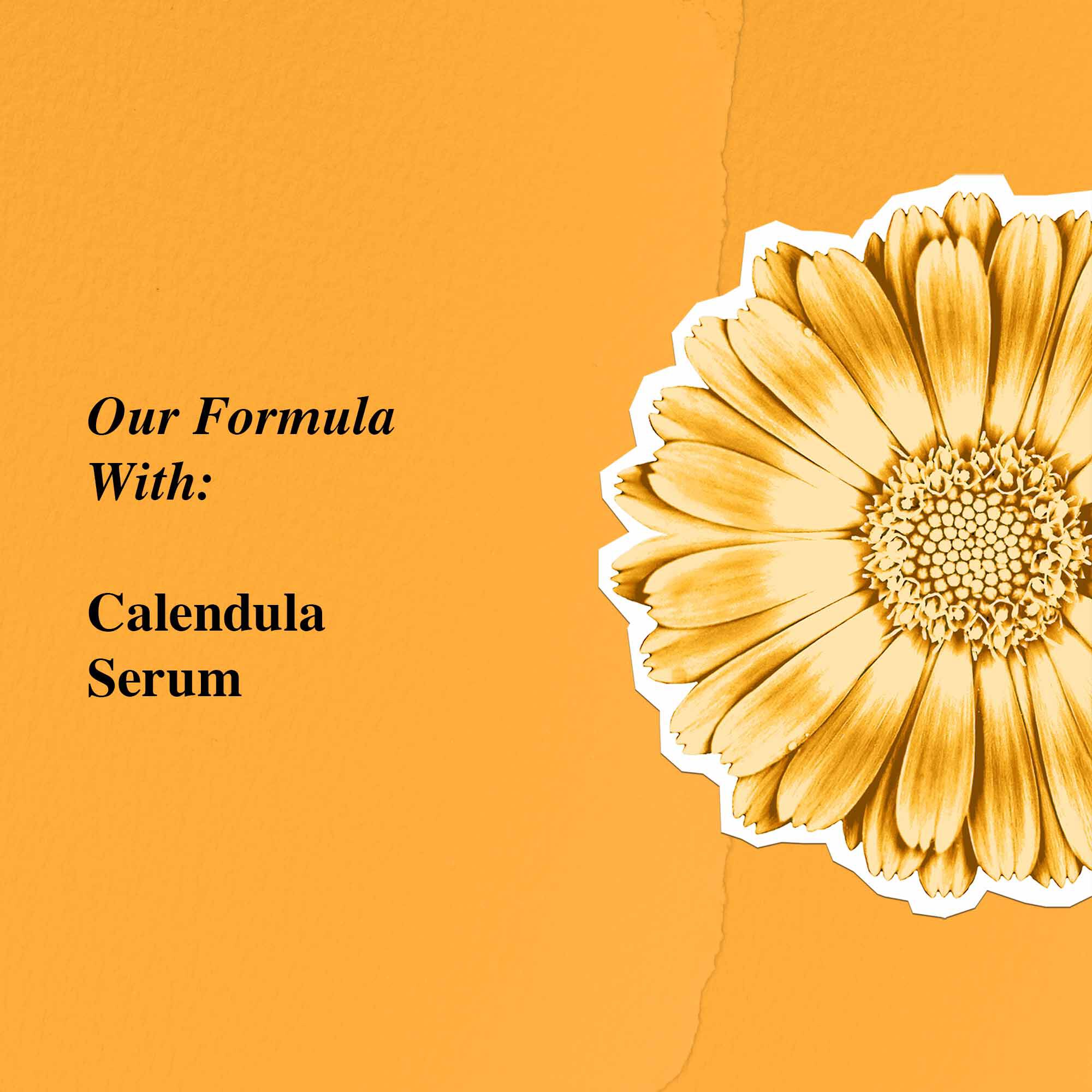 Calendula Serum-Infused Water Cream - Cremă infuzată cu serum de gălbenele (calendula)
