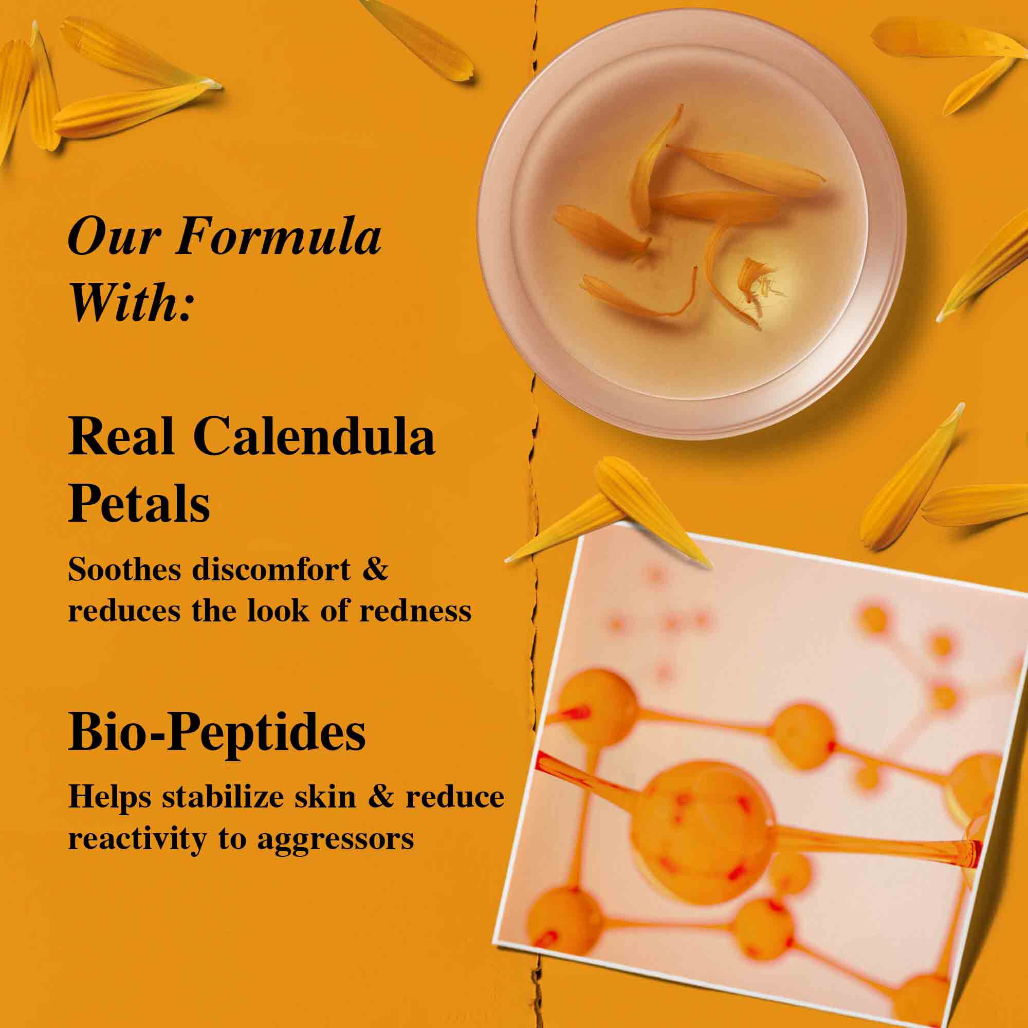 Petale de flori de gălbenele.