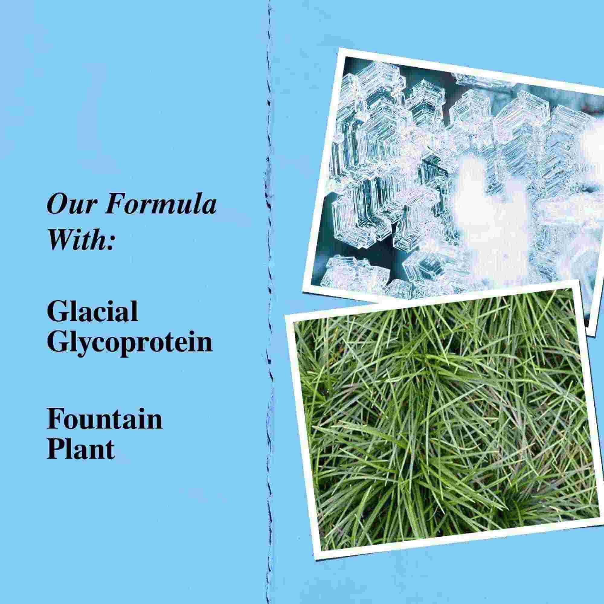 Grafică a ingredientelor cheie: glicoproteină glaciară și planta fantană (Ophiopogon japonicus).
