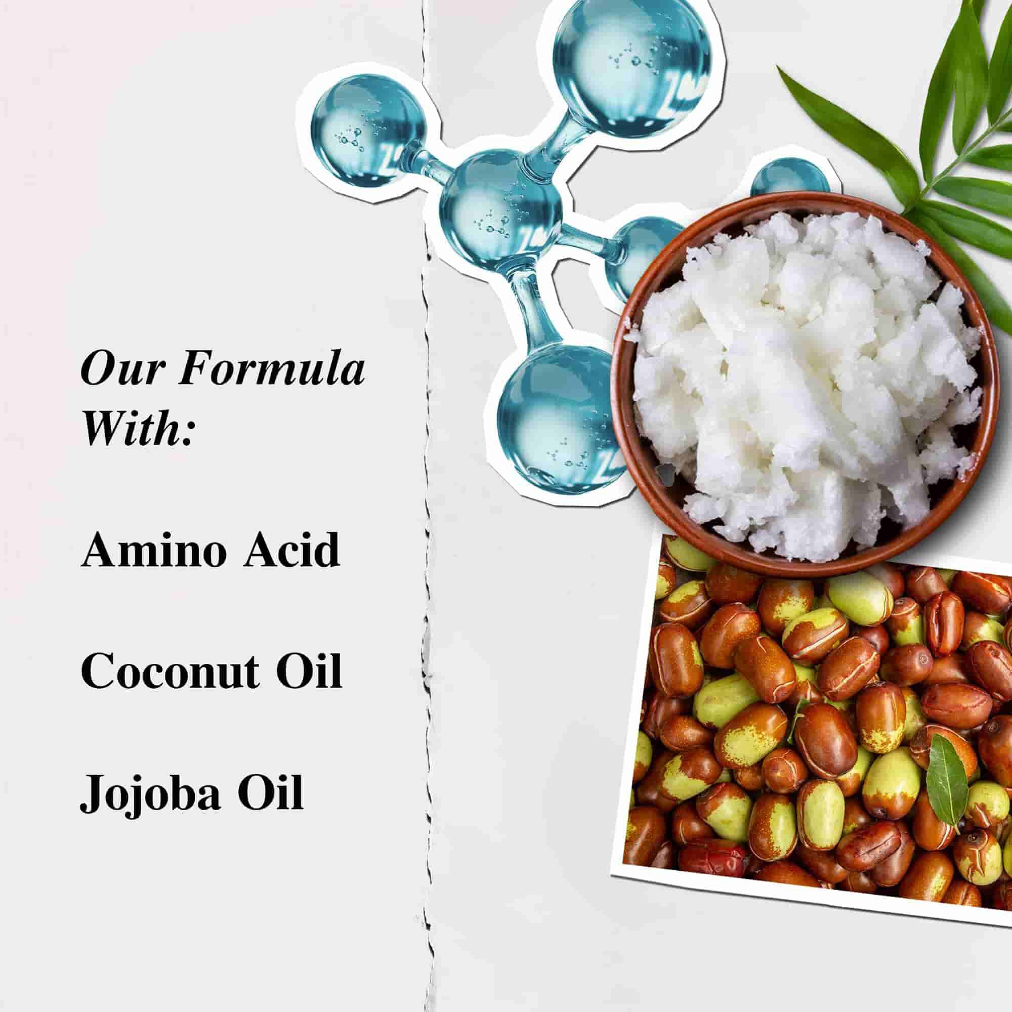 Ilustrație pentru ingredientele balsamului cu aminoacizi Kiehl's - Aminoacizi, ulei de cocos, ulei de jojoba
