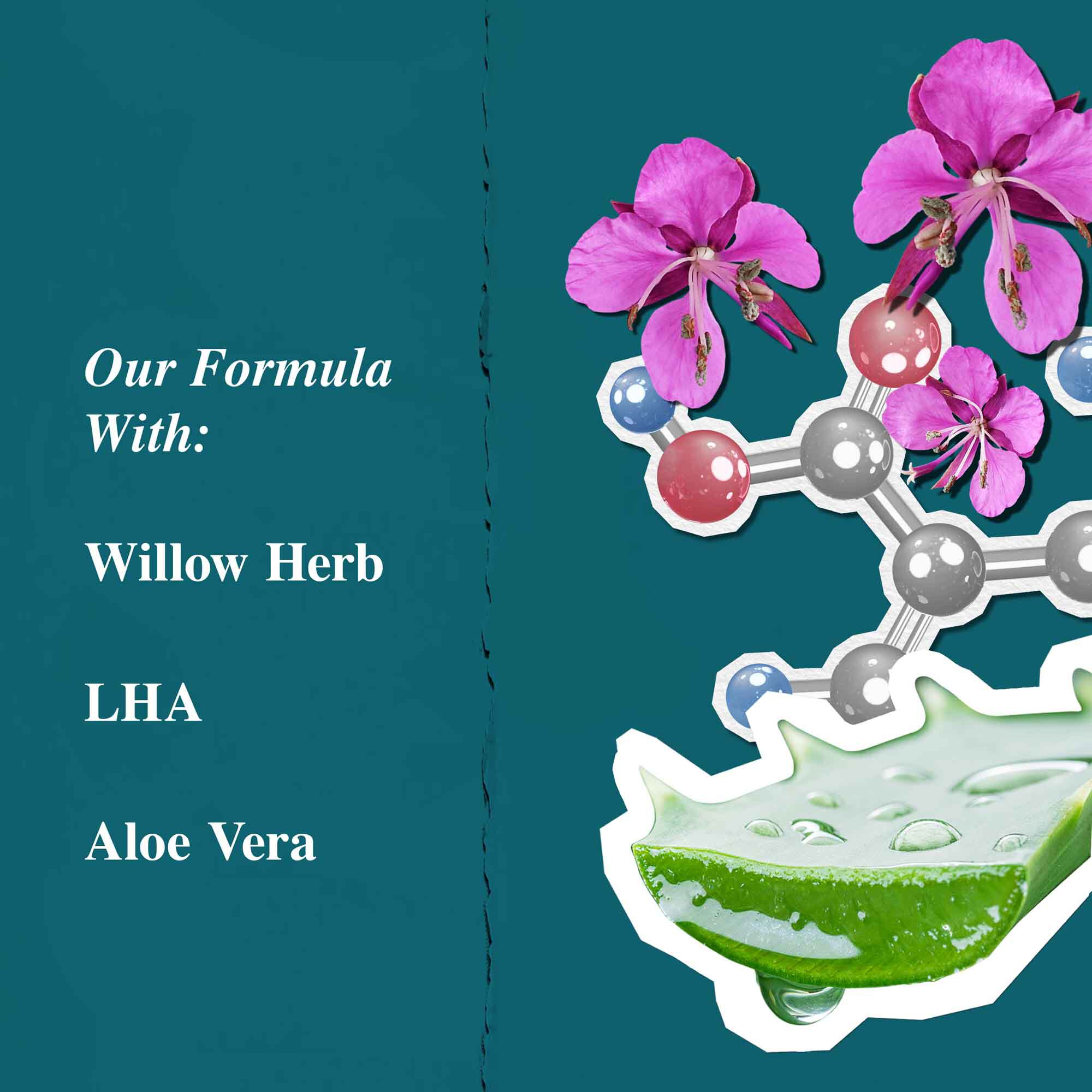 Grafică a ingredientelor pentru Close Shavers Squadron Smooth Glider Precision Shave Lotion, evidențiind pufulița și aloe vera.