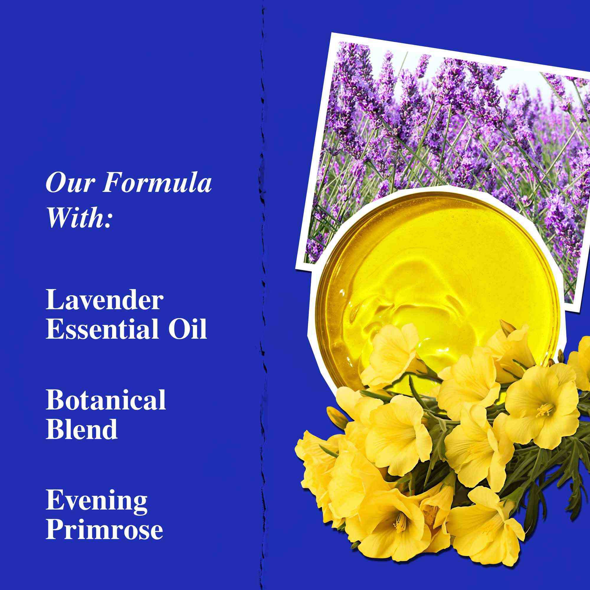 Ingrediente cheie ale Midnight Recovery Concentrate, evidențiind uleiul esențial de lavandă, uleiul de luminița nopții și squalanul.