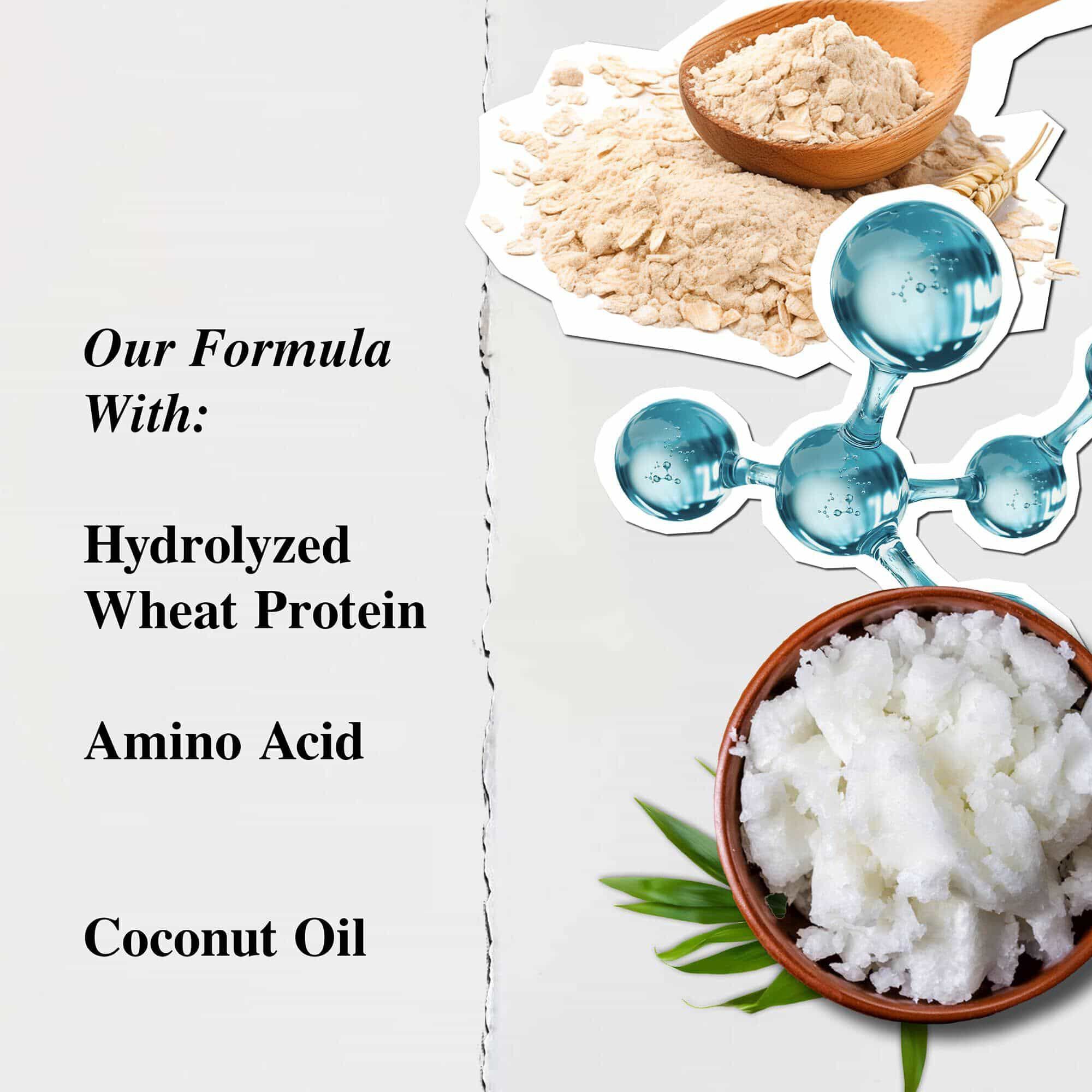 Ingrediente pentru șamponul Kiehl's Amino Acid - Proteină de grau hidrolizată, aminoacizi, ulei de nucă de cocos comercializat echitabil