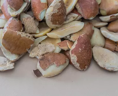 A close-up image of a pile of cracked fruit shells, showing their smooth, brown surfaces and irregular shapes.